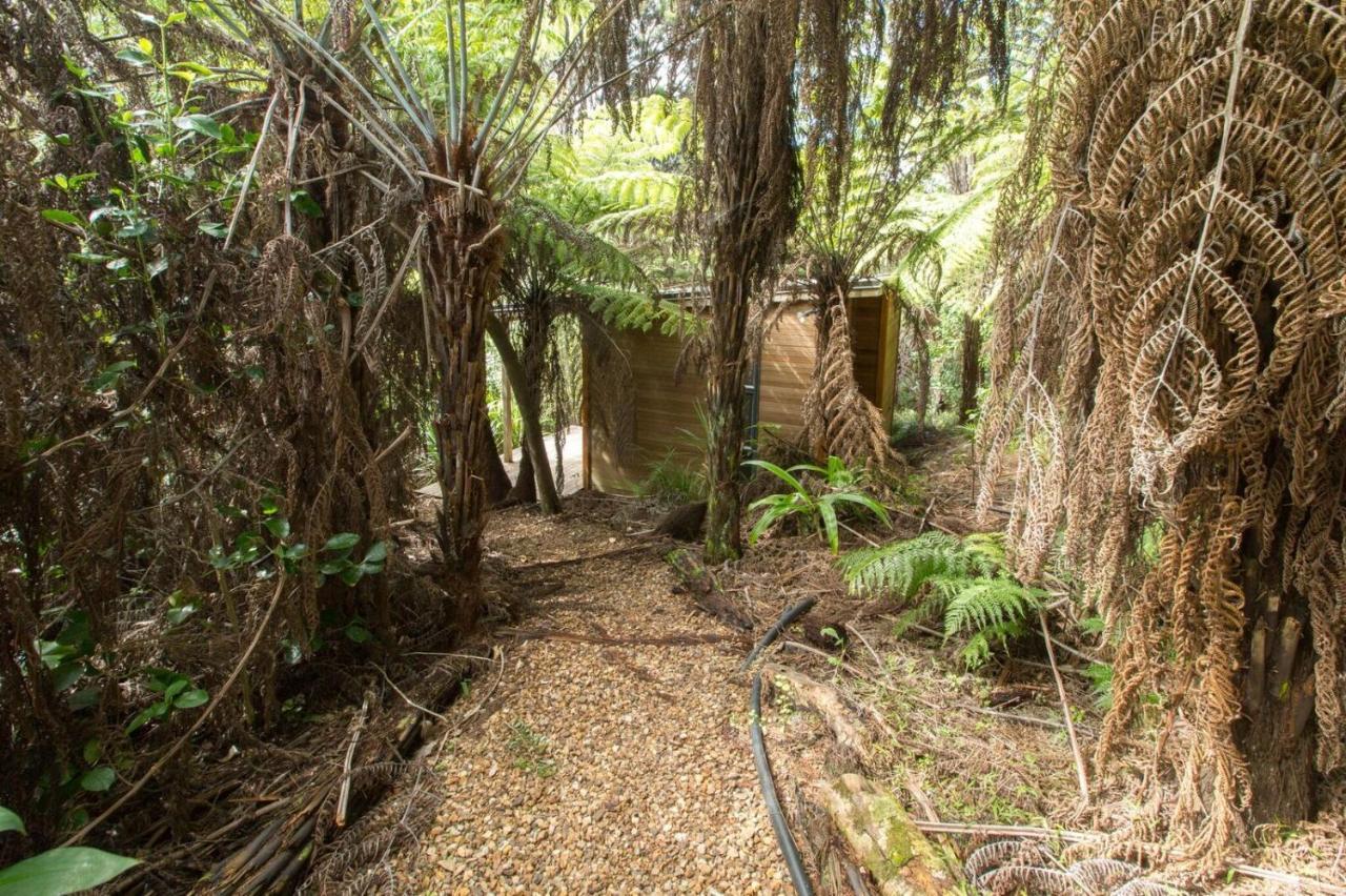 Karaka Sanctuary With Spa Pool By Waiheke Unlimited Oneroa Δωμάτιο φωτογραφία
